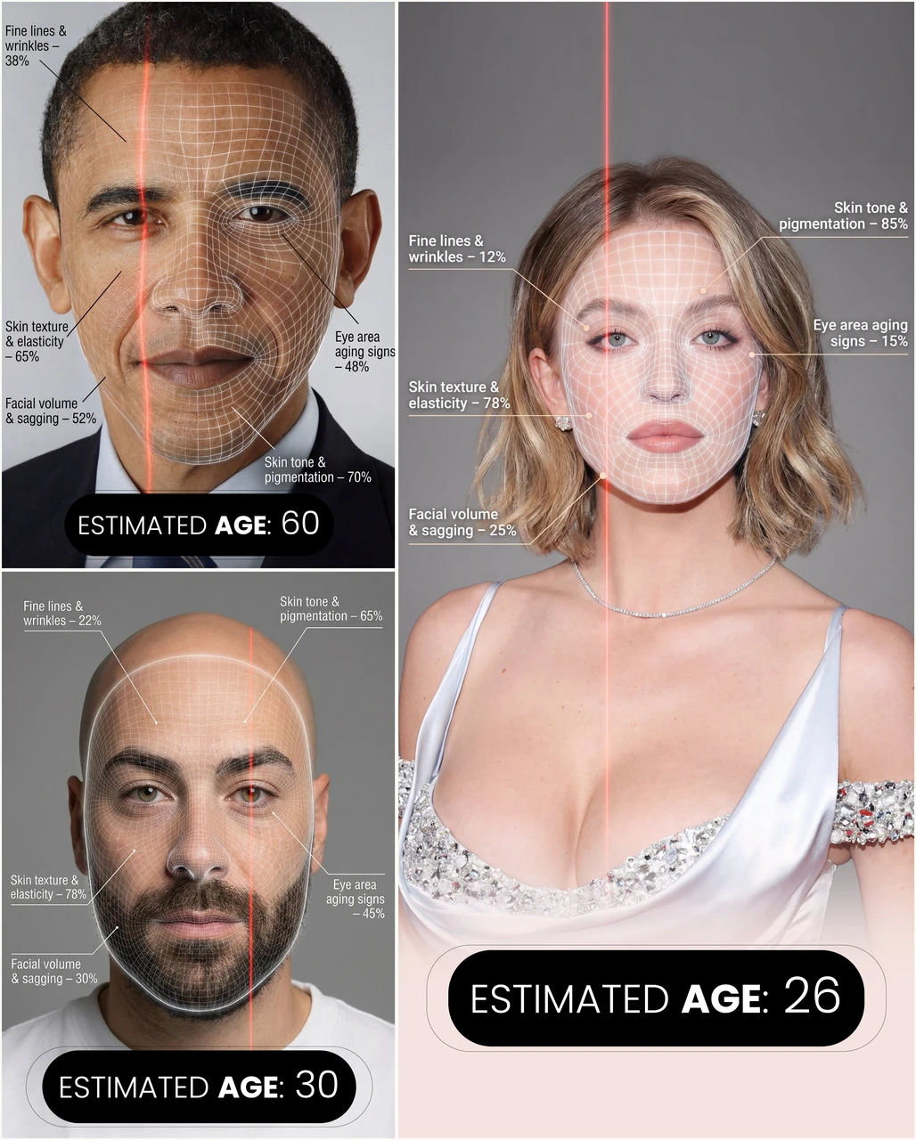 Facial Age Analysis